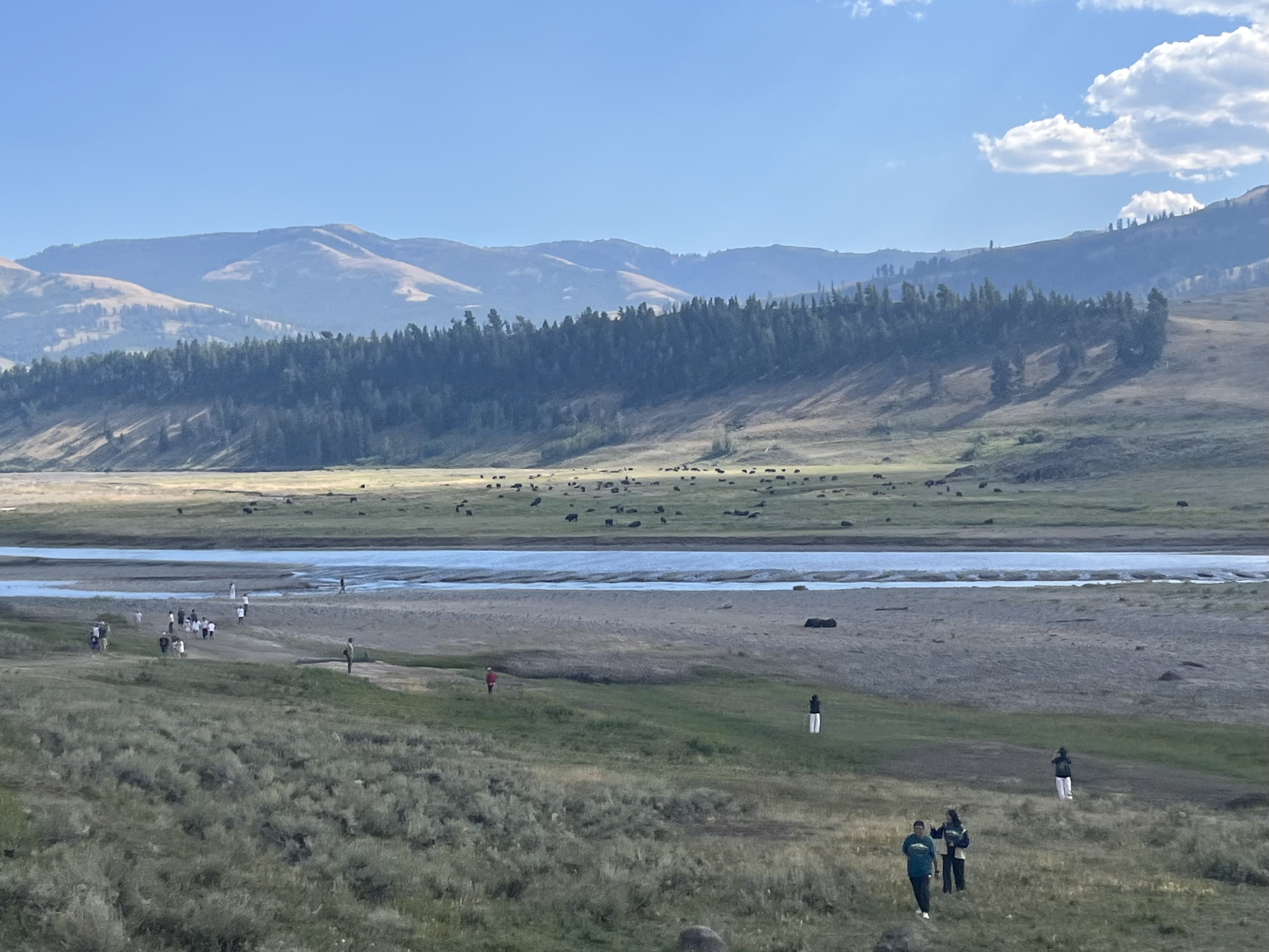 Wide valley with river and distant wildlife