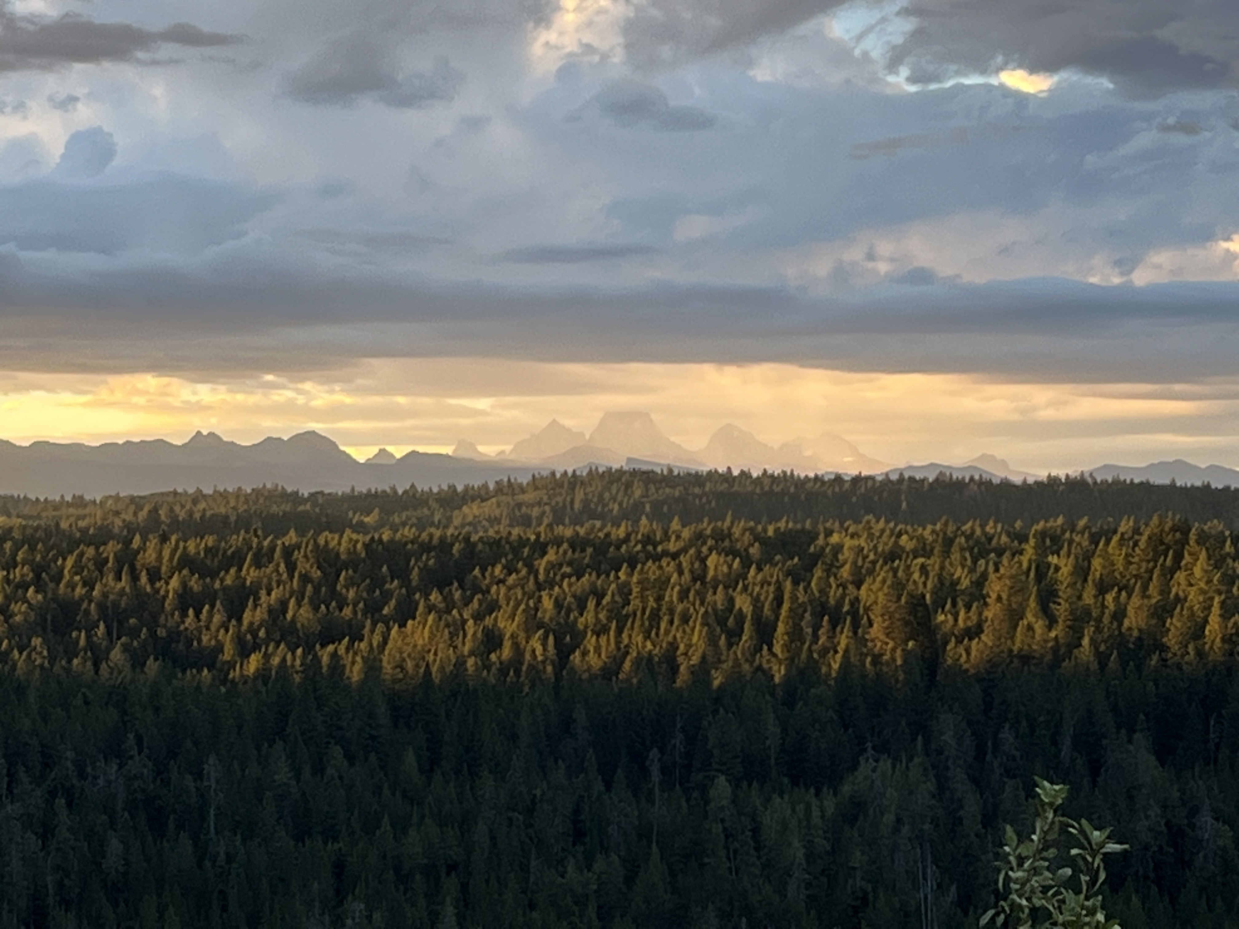 Sunset over forest and distant mountains
